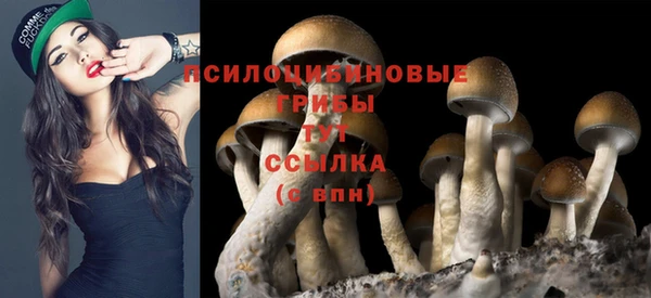 ALPHA PVP Гусев