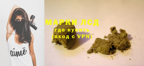 ALPHA PVP Гусев
