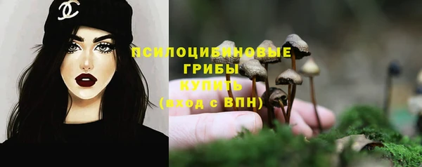 ALPHA PVP Гусев
