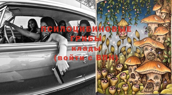 мяу мяу кристалл Гусь-Хрустальный