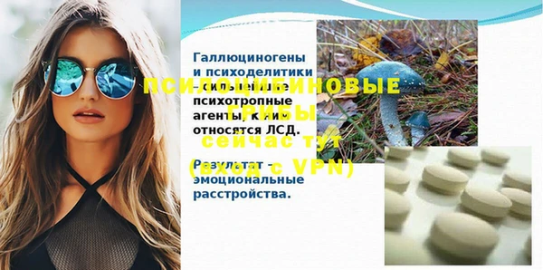мяу мяу кристалл Гусь-Хрустальный