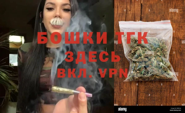 ALPHA PVP Гусев