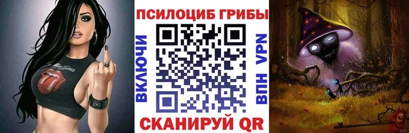 Купить  Мыски  Галлюциногенные грибы Cubensis 